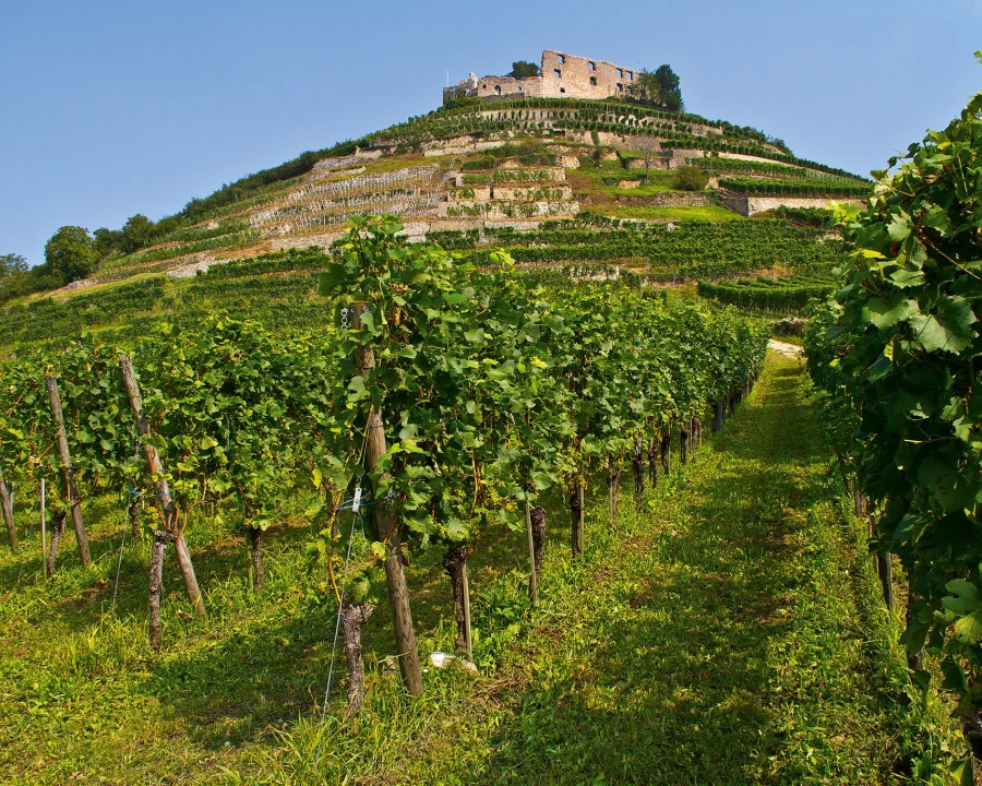 Kloster Eberbach