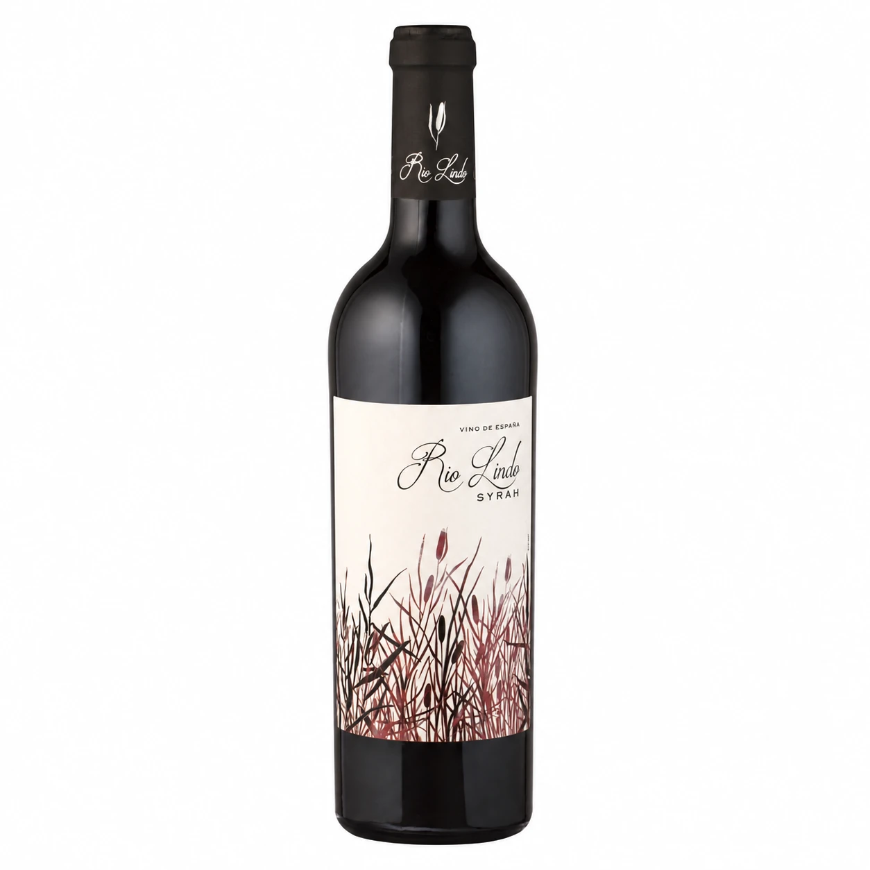 Syrah